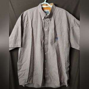 Cinch button down
